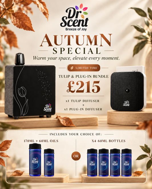 Tulip & Plug-In Scent Bundle